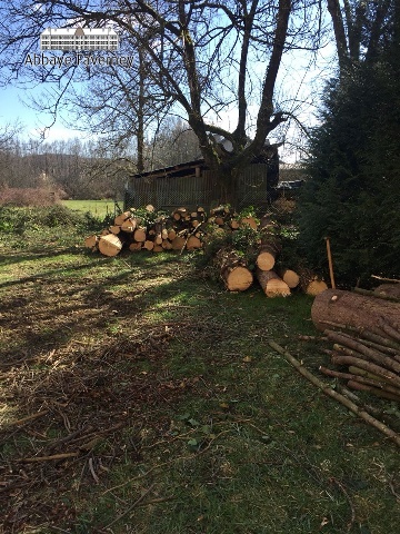 19-maart-2018 | Aankomst trekker en snoeien bomen grote tuin