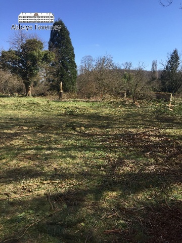 19-maart-2018 | Aankomst trekker en snoeien bomen grote tuin