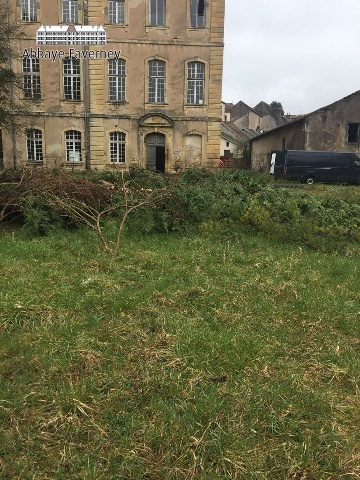19-maart-2018 | Aankomst trekker en snoeien bomen grote tuin