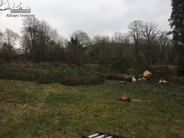 19-maart-2018 | Aankomst trekker en snoeien bomen grote tuin