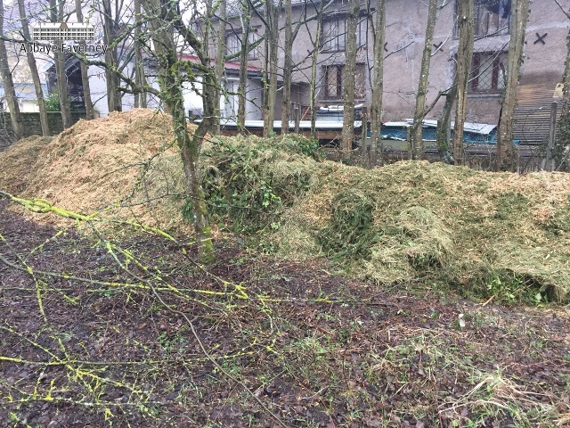 19-maart-2018 | Aankomst trekker en snoeien bomen grote tuin