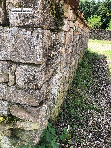 Muur groentetuin